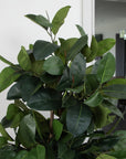 Artificial Fiddle Leaf Fig Tree in Black Round Planter – Tall Faux Indoor Plant