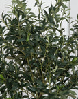 Artificial Olive Tree in Black Planter