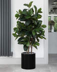 Artificial Fiddle Leaf Fig Tree in Black Round Planter – Tall Faux Indoor Plant