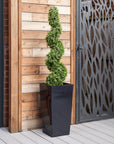 Artificial Buxus Spiral Topiary in Black Planter – Faux Boxwood Tree Outdoor