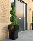 Artificial Buxus Spiral Topiary in Black Planter