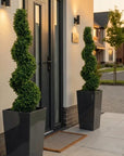 Artificial Buxus Spiral Topiary in Black Planter (PAIR)