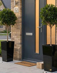Artificial Bay Tree in Black Planter (PAIR)