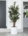 Artificial Olive Tree in White Planter
