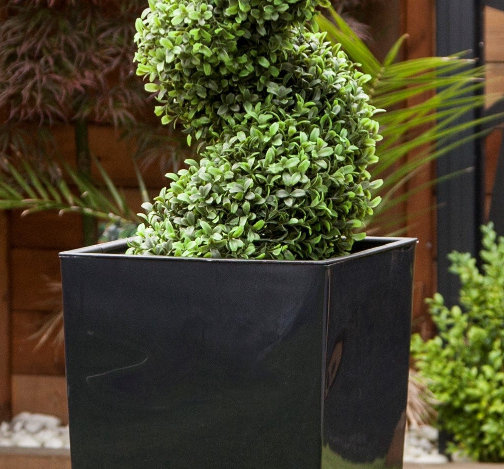 Artificial Buxus Spiral Topiary in Black Planter