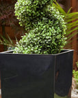 Artificial Buxus Spiral Topiary in Black Planter