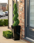 Artificial Buxus Spiral Topiary in Black Planter