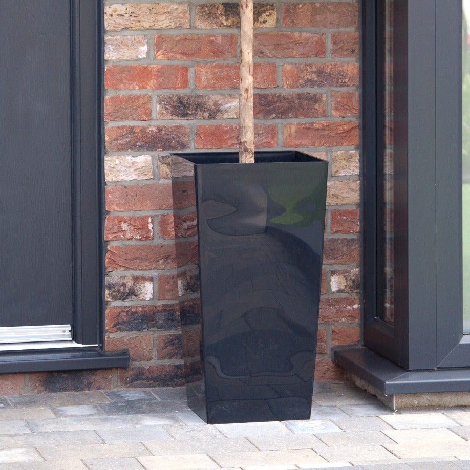 Artificial Bay Tree in Black Planter (PAIR)
