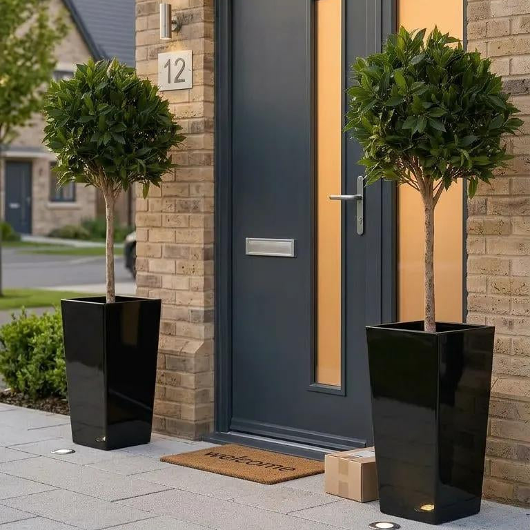 Artificial Bay Tree in Black Planter (PAIR)